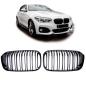 Preview: Sportgrill Kühlergrill Doppelsteg für BMW 1er F20 / F21 15-19 glanz schwarz