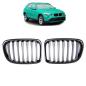 Preview: Sportgrill Kühlergrill kompatibel mit BMW X1 E84 09-15 glanz schwarz