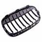 Preview: Sportgrill Kühlergrill Single kompatibel mit BMW X1 F48 14-19 schwarz glanz