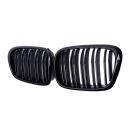 Sport Kühlergrill Doppelsteg Performance Glanz passend für BMW 5er E39 95-03